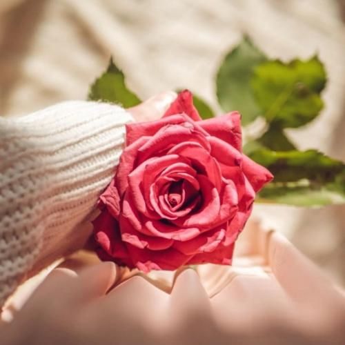 امیر حسین اصفهانی هوای خونه بی تو غم گرفته