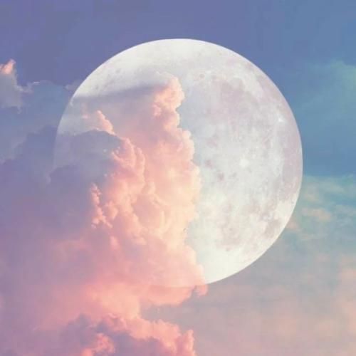 اتمنی اضمك بالقلب ماعوفك ولا ساعه