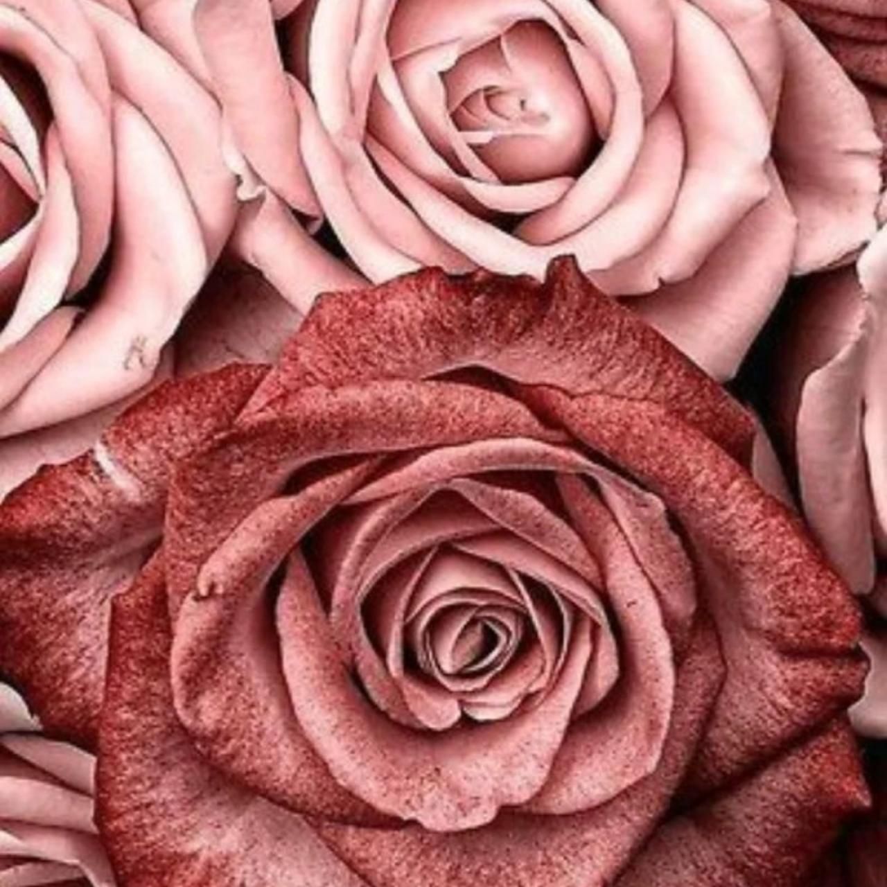  من بی هوا میبوسمت این بوسه مخصوص منه