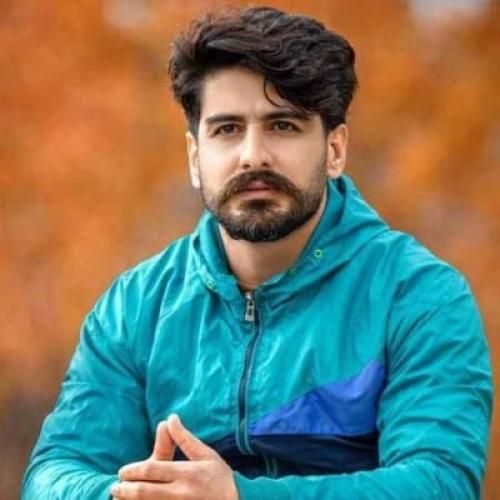 سعید حسینی دی په یهو چه وابی