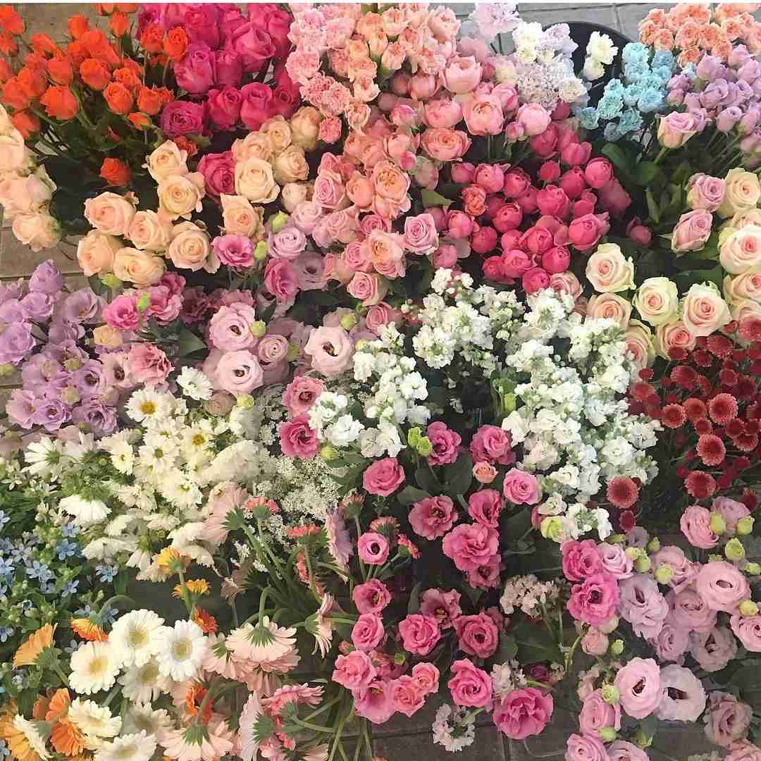 اه یایمه اه یاعیونی دکیت انا البیبان ماصح مثلها