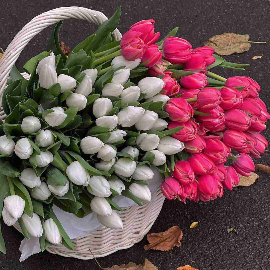 الکی نخندی عوضی چقدر با غصه قشنگی اینستایی