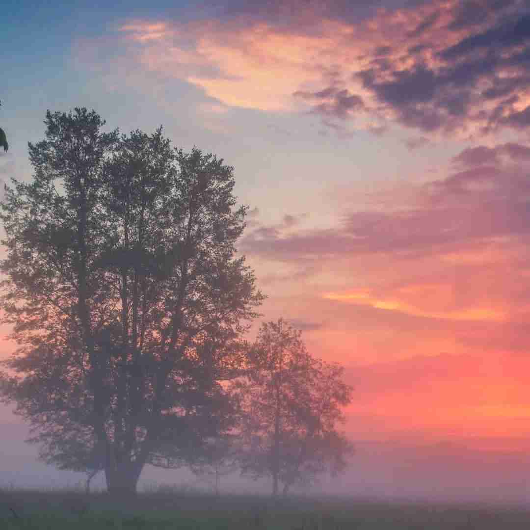 موهات میریزه رو کمر فر ریز