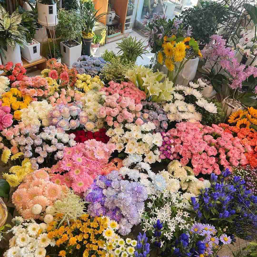 یه بت ازت ساختم توی این قلبم دل من هواتو کرده