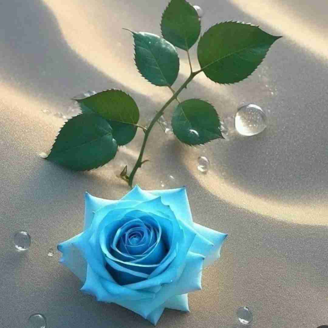  دیگه منو بده بره نگو تنگ شده دلت اونم میکنه خب ولت