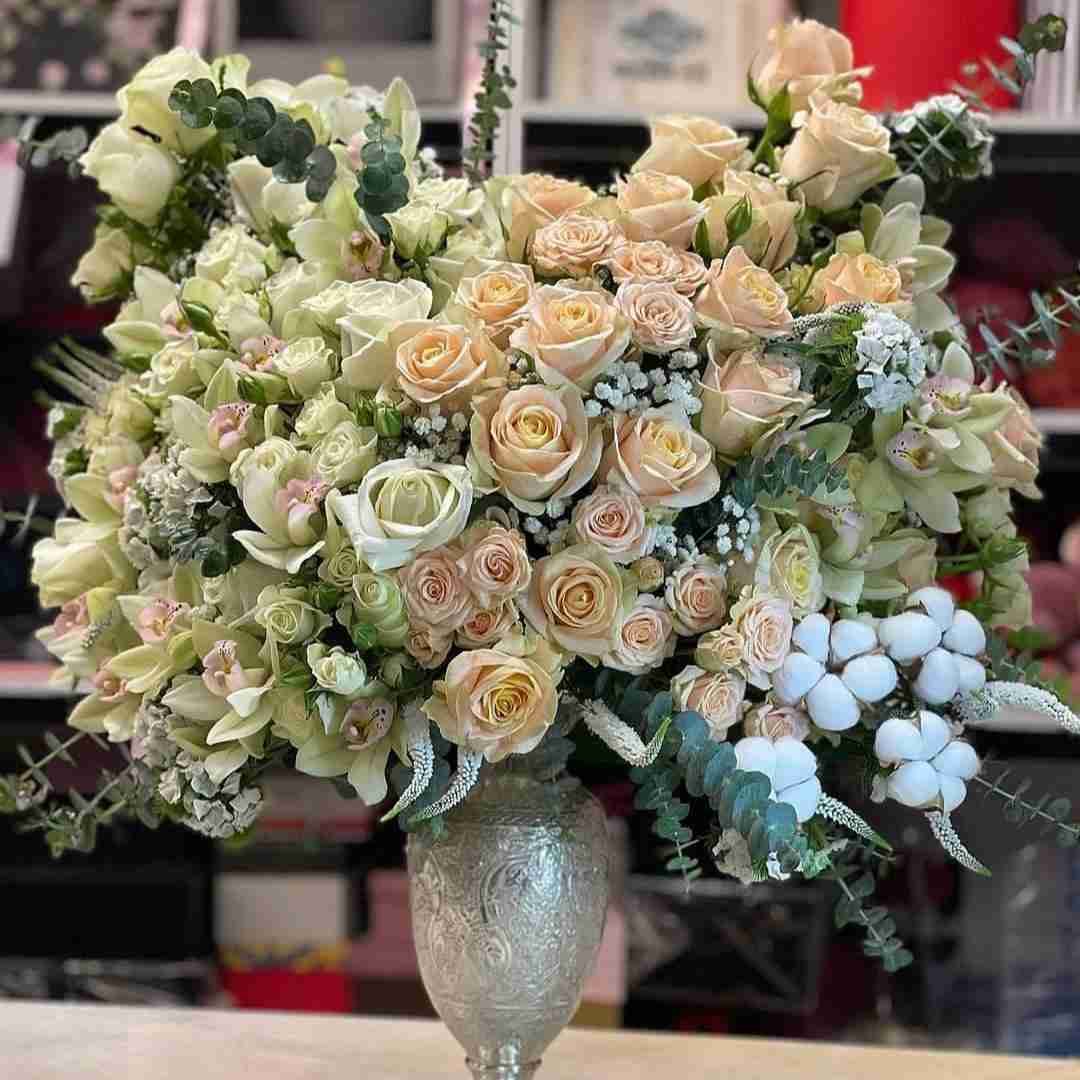 هی عاشق شده این دل بگو تو میرسی کی - همخوانی کنسرت