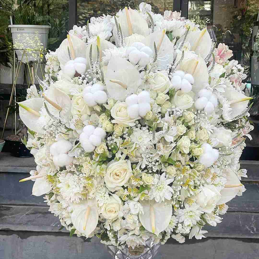 تکیلا رو ریختم تو استکان چایی