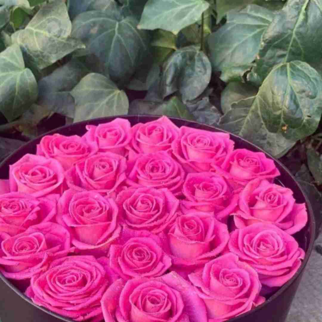  زلف پرچین مال تو دل پرخیم مال مو با صدای پسر اینستایی 