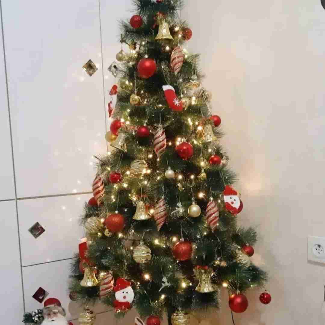  بوک میشه فرست کلس ایرلاین با صدای بچه و کلاه قرمزی