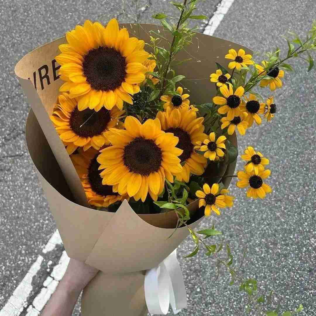 دیلان روژئاوا توم دەوی