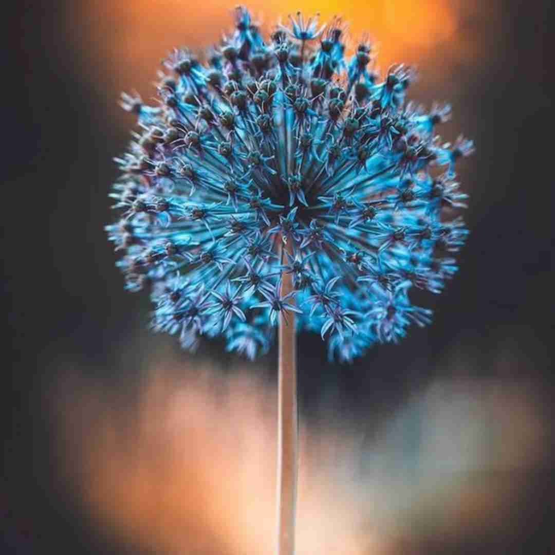  دیشب خوابتو یهویی دیدم هنوزم صدام میکنی تو بچه
