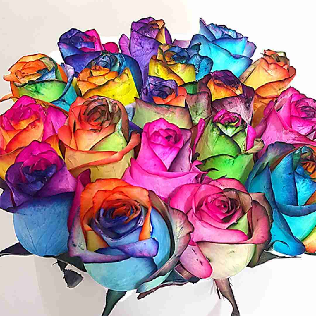 دیجی سونامی گیسو گندمی
