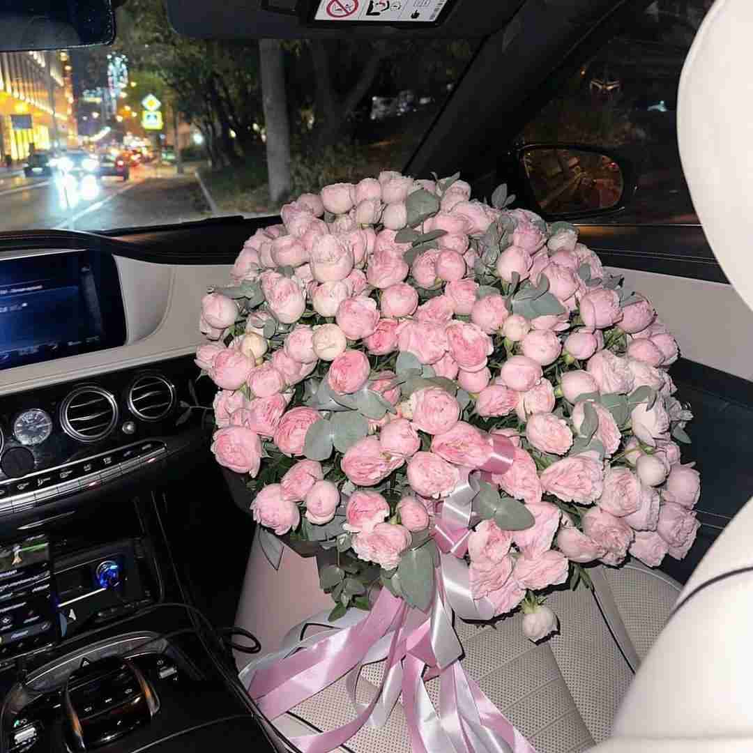 بهت پیله کردم نمی مونی پیشم میمیرم اینجا شادمهر عقیلی