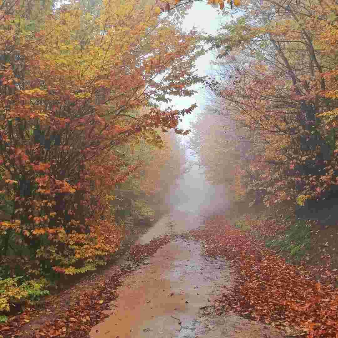  یه روز مرد خدایی یه روز اهل ریایی