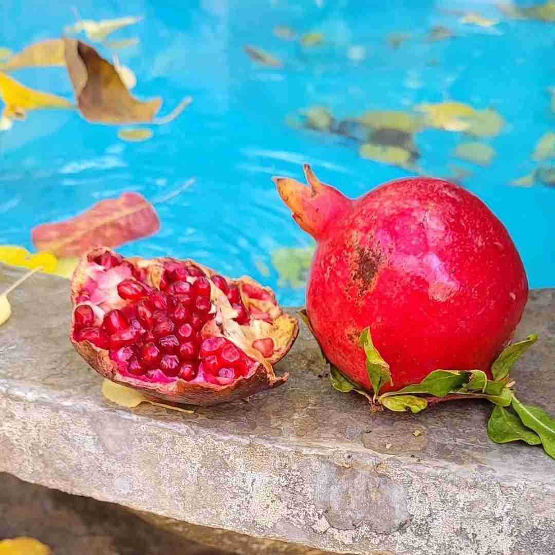  سلمونی نرو با ما بد باش فقط با صدای پاتریک