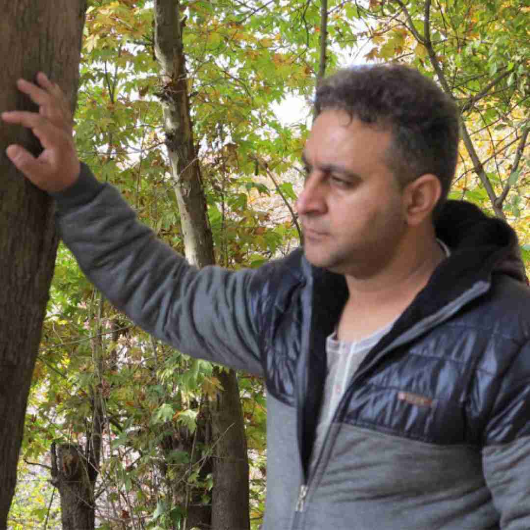 مجتبی رضایی کردی پوش