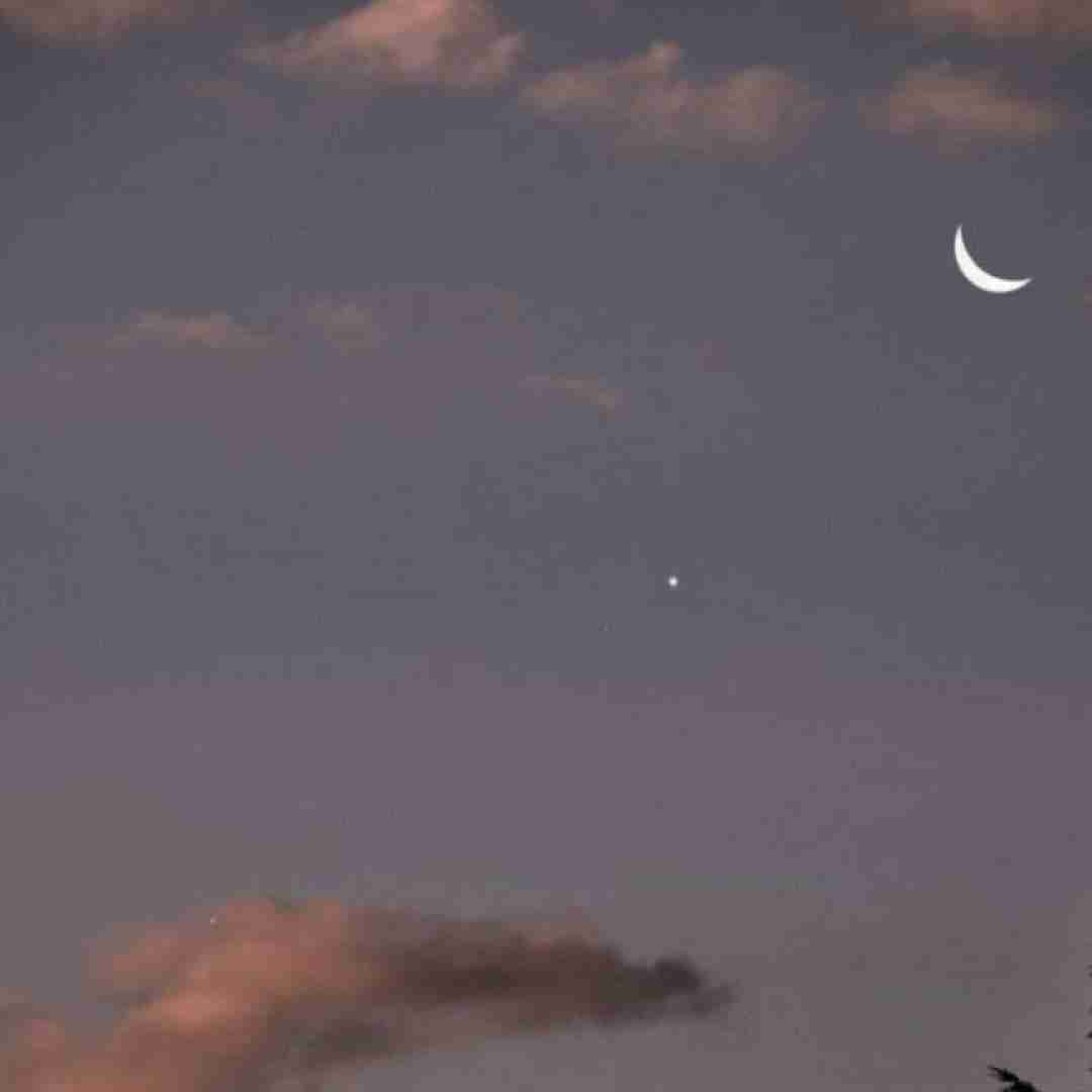 برو دیگه برنگرد از تیمم تورو خط زدم