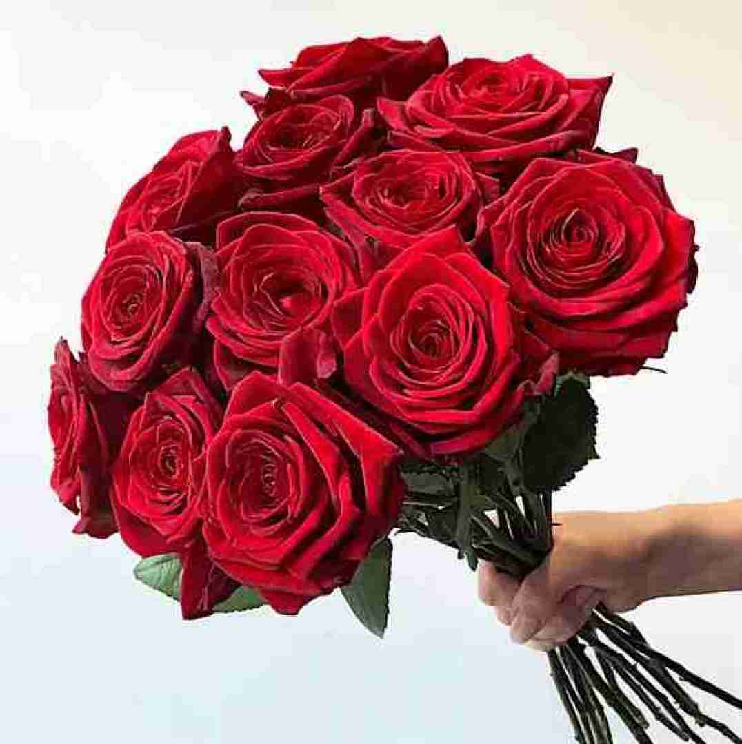گلی که خود بد ادوم پیچ و تابش با صدای پسر اینستایی