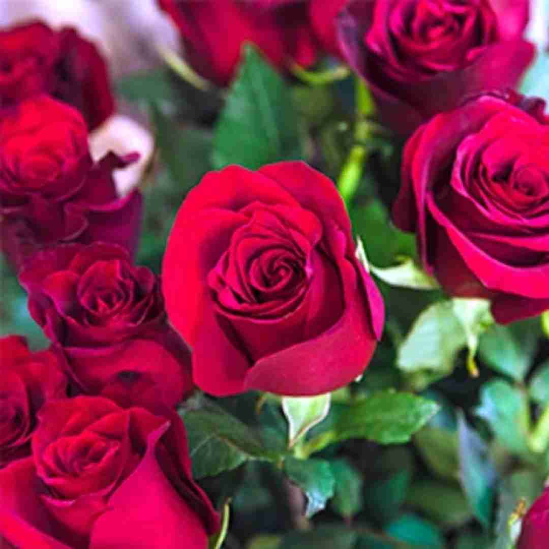 یه شبه گذاشتو رفت نذاشت حرفامه بگم تا بحال بهت گفتم چقده زیبایی