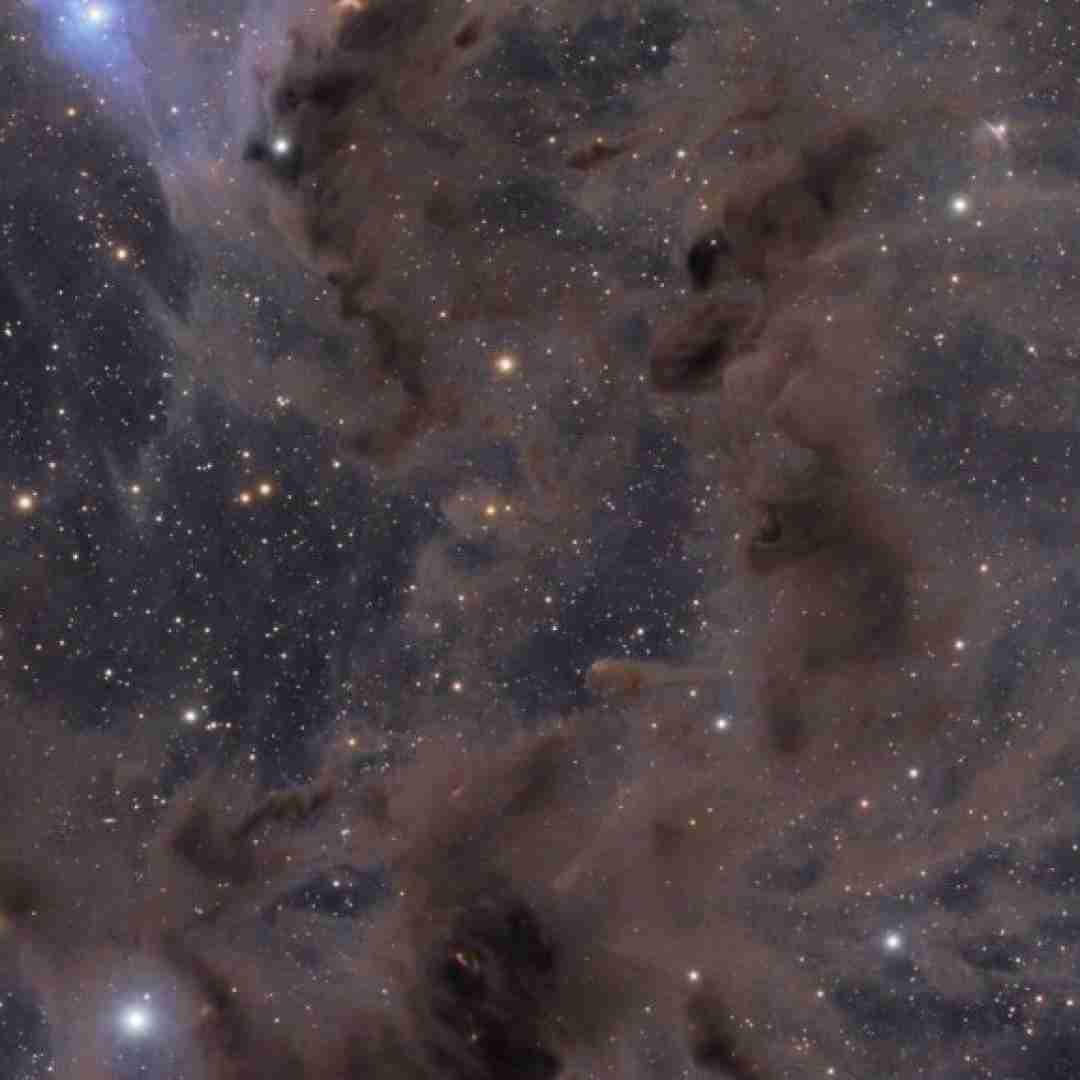 تو آستین خودم یه روز مارم منو زد فکر میکنم طلب دارم