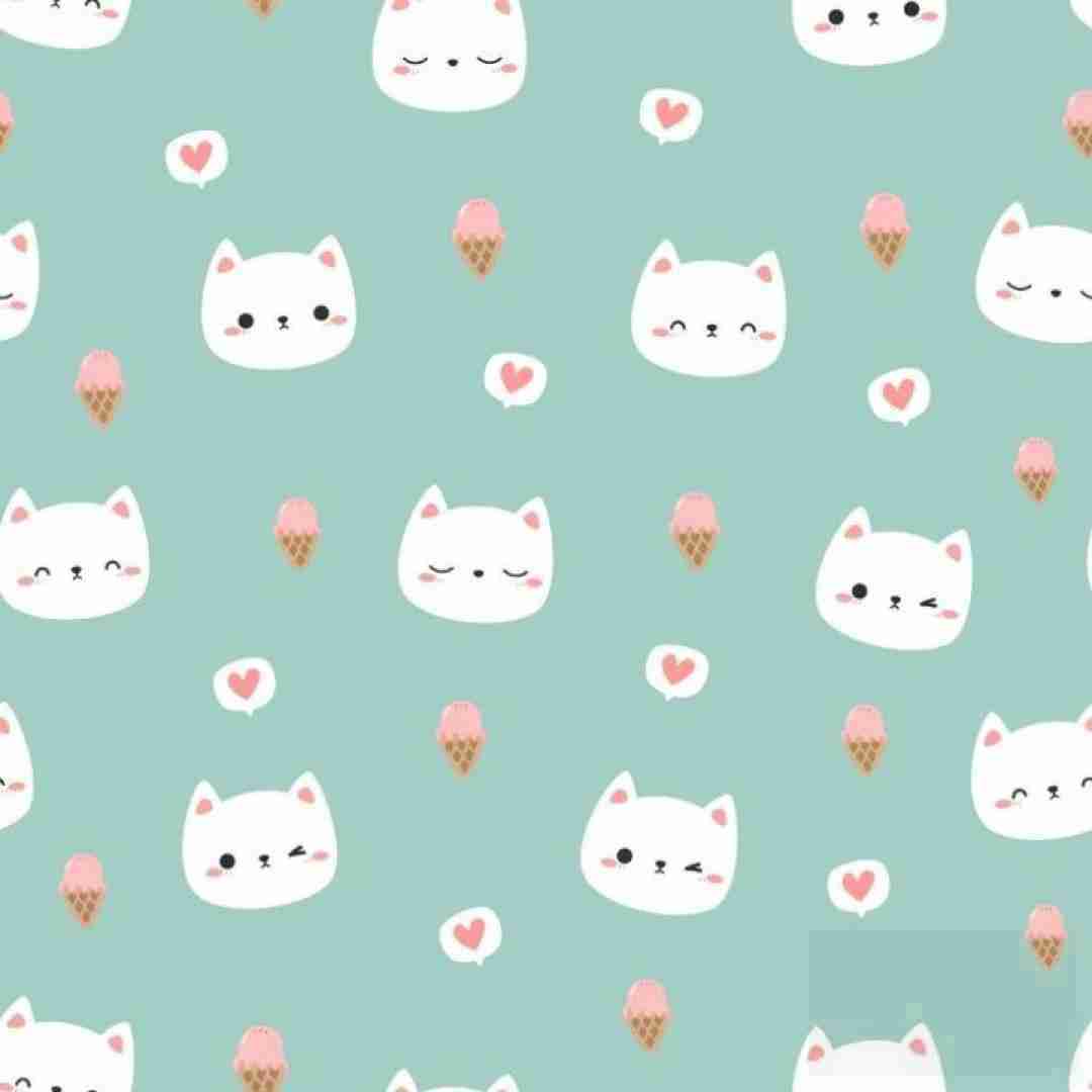  اینجه مشهده بیبه کف موروم مو زیدت