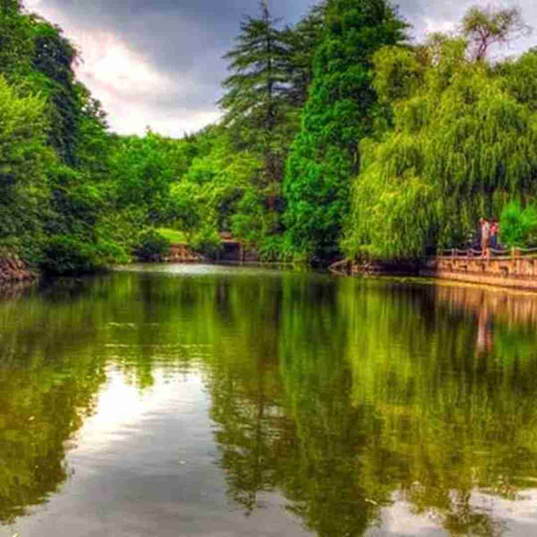 فاطمه عطایی دیاری دیاری نزن می وسه اشاره