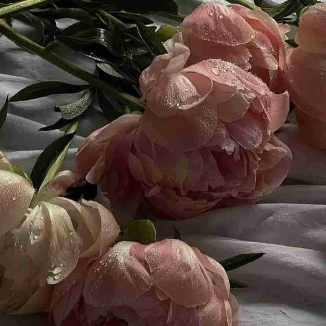 اینکه خرابه پیشم سابقت ولی بیا من هنوز مثل سابقم