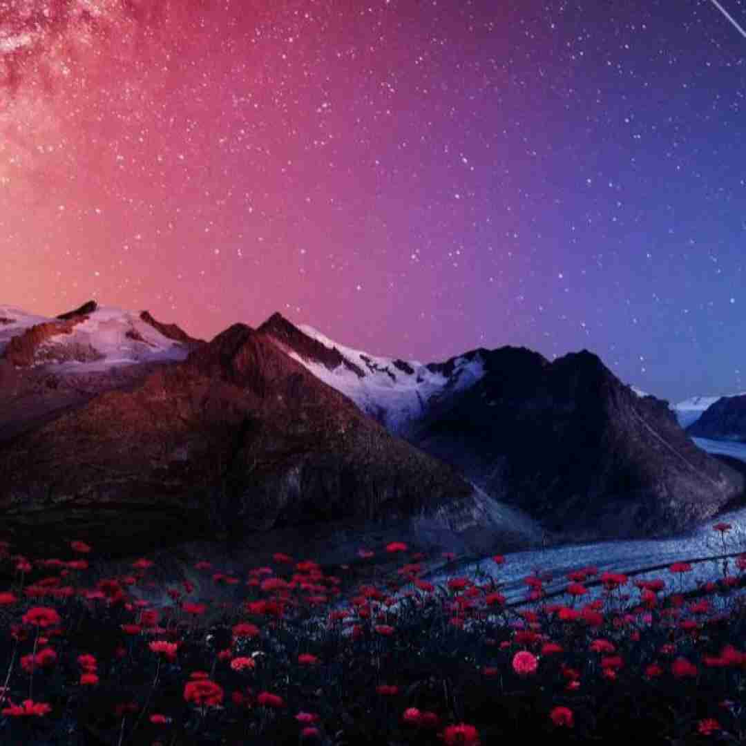  عسل تو نیستم شکر تو نیستم نبات تو نیستم (ترند اینستایی)