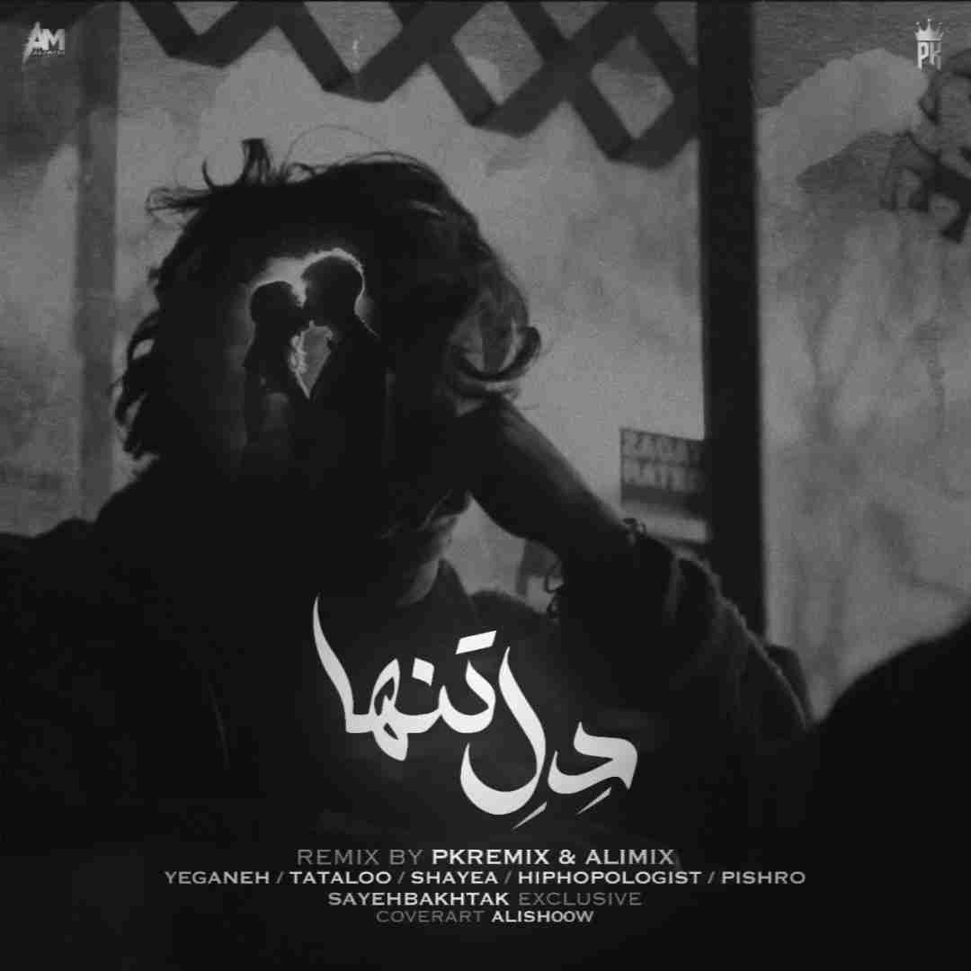 علی میکس و پی کی ریمیکس دل تنها