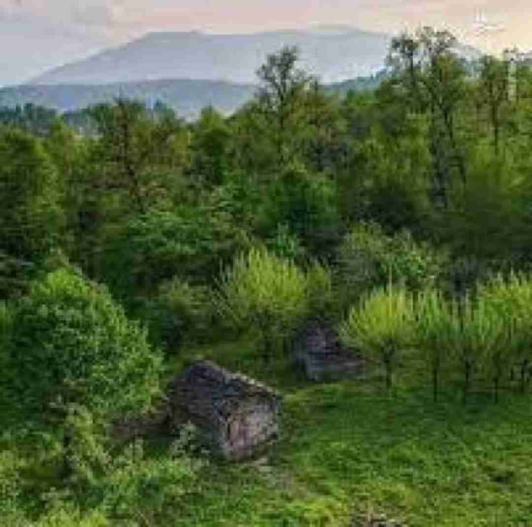 نگاه بچه رو به به شمارمو بهش بدم نه نه (ترند اینستایی)