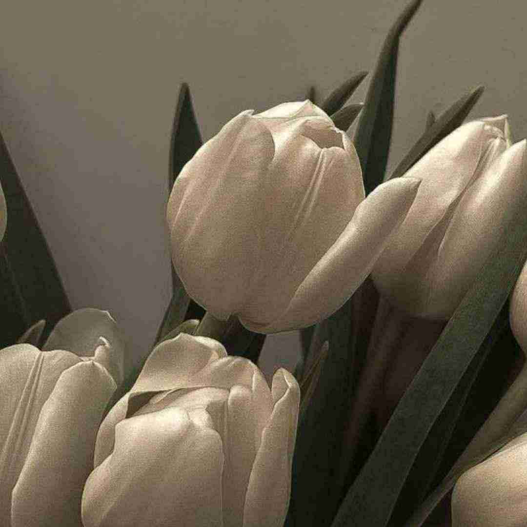 دختر بدی نبودم با تو شدم بد من اینجوری نبودم