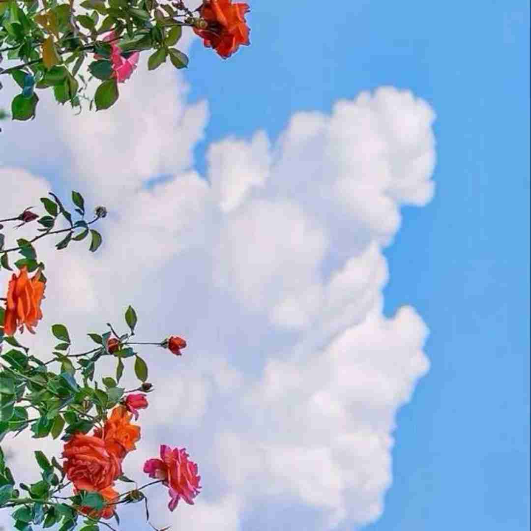  اگه تو شانس من بودی پس خیلی بدشانسم