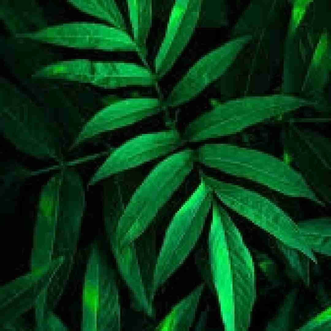 زدم با گریه فریاد دلم از جنس دریاس