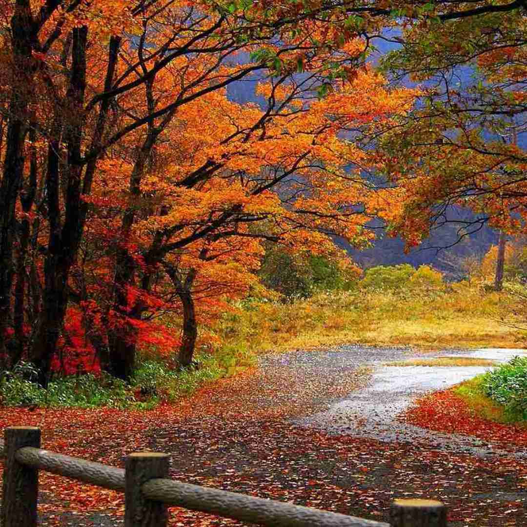  الان اکسم بهم میگه برگرد قبل بلاک دادم فش بد