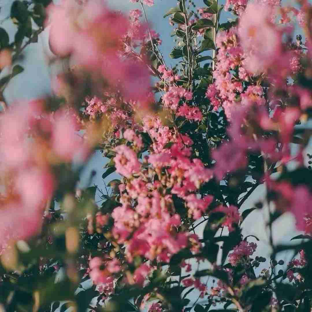 دشی برو نامرد که دل مرده دگر تاب نداره