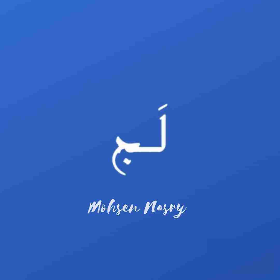 محسن نصری لج