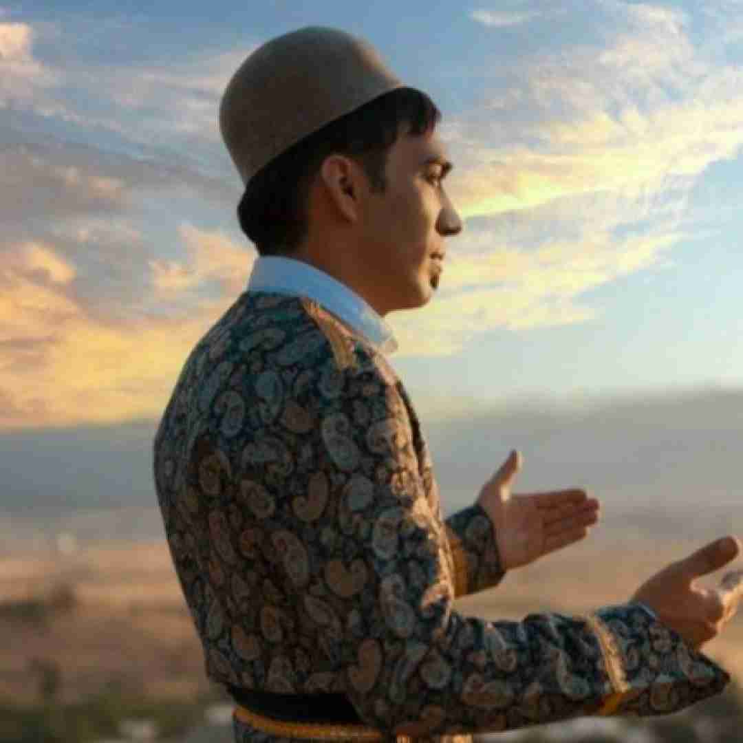 هومن پناهی های های