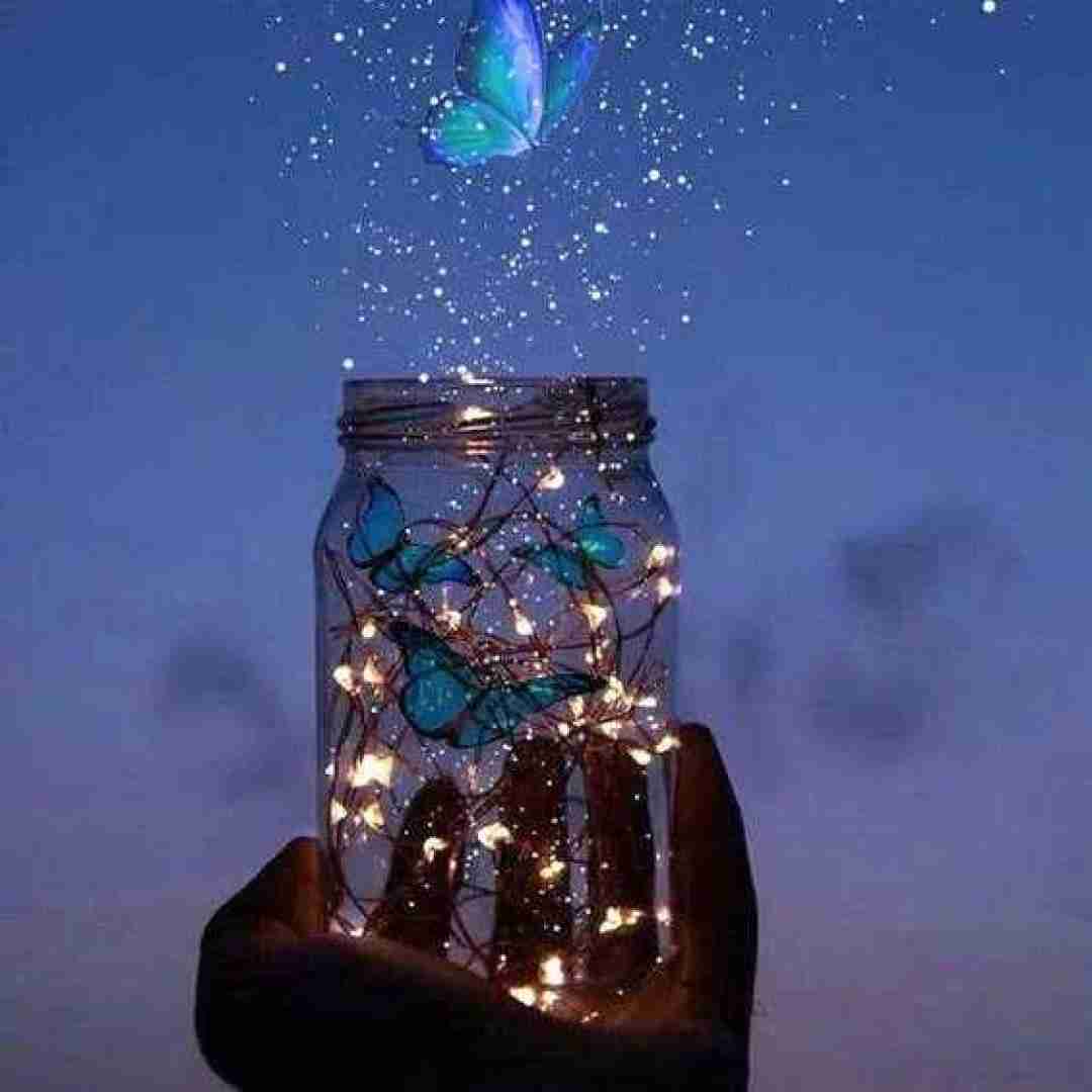 سر زانو هاش کبوده ولی فرشتش واسم