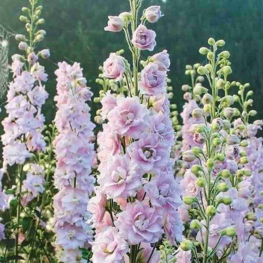  من حتی نگفتم بشه با پسرای دورت قطع ارتباطاتت