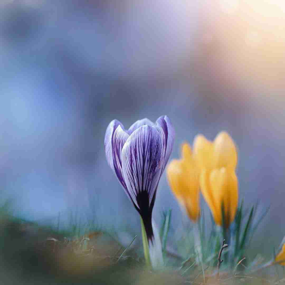 روح الله جعفری ای لحظه ی شیرین مستی