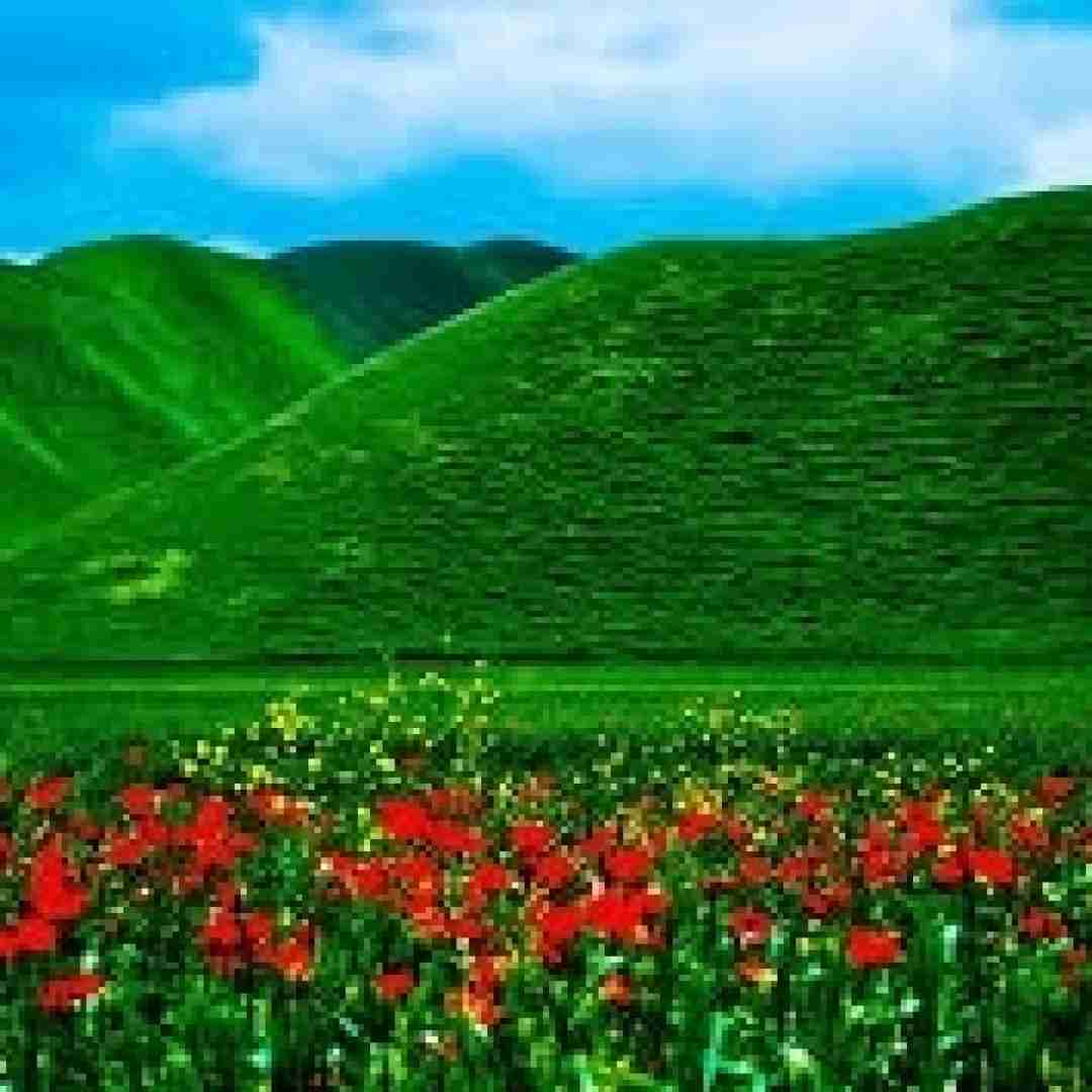  یکیو میخوام مثل همه نباشه تا تهش باهام باشه