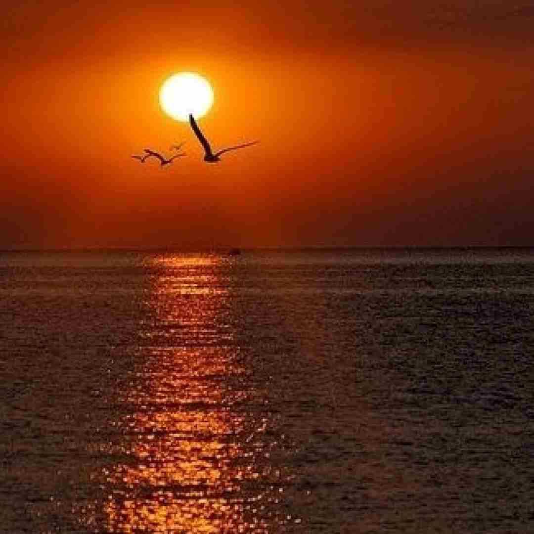  منه دیوونه نمیدم بعد تو کسیو ترجیح یه روز پاشدم
