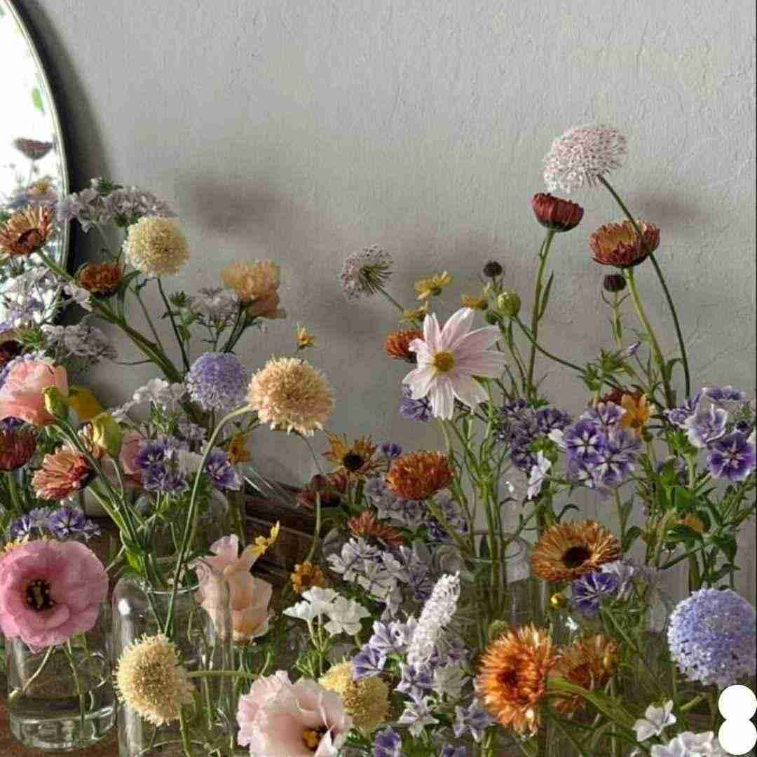 نمیشه باز برگرده ثانیه ها تنها موندم باقیه راه