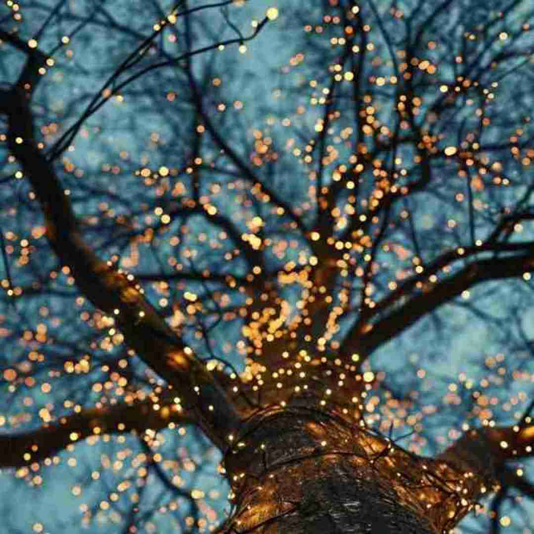 فاطمه عطایی یادش بخیر