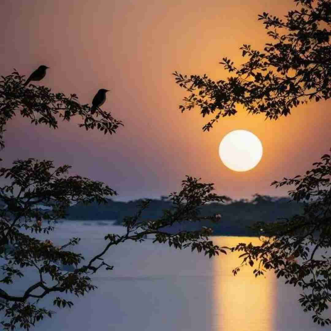  آسمون اخماتو واکن آبی شو با صدای پسر اینستایی