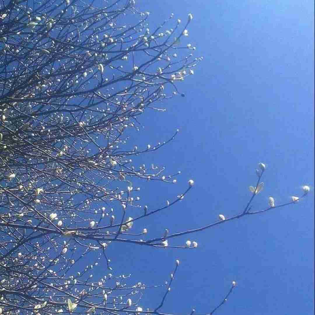 ببعی تو بازیگوشی مثل منی باهوشی