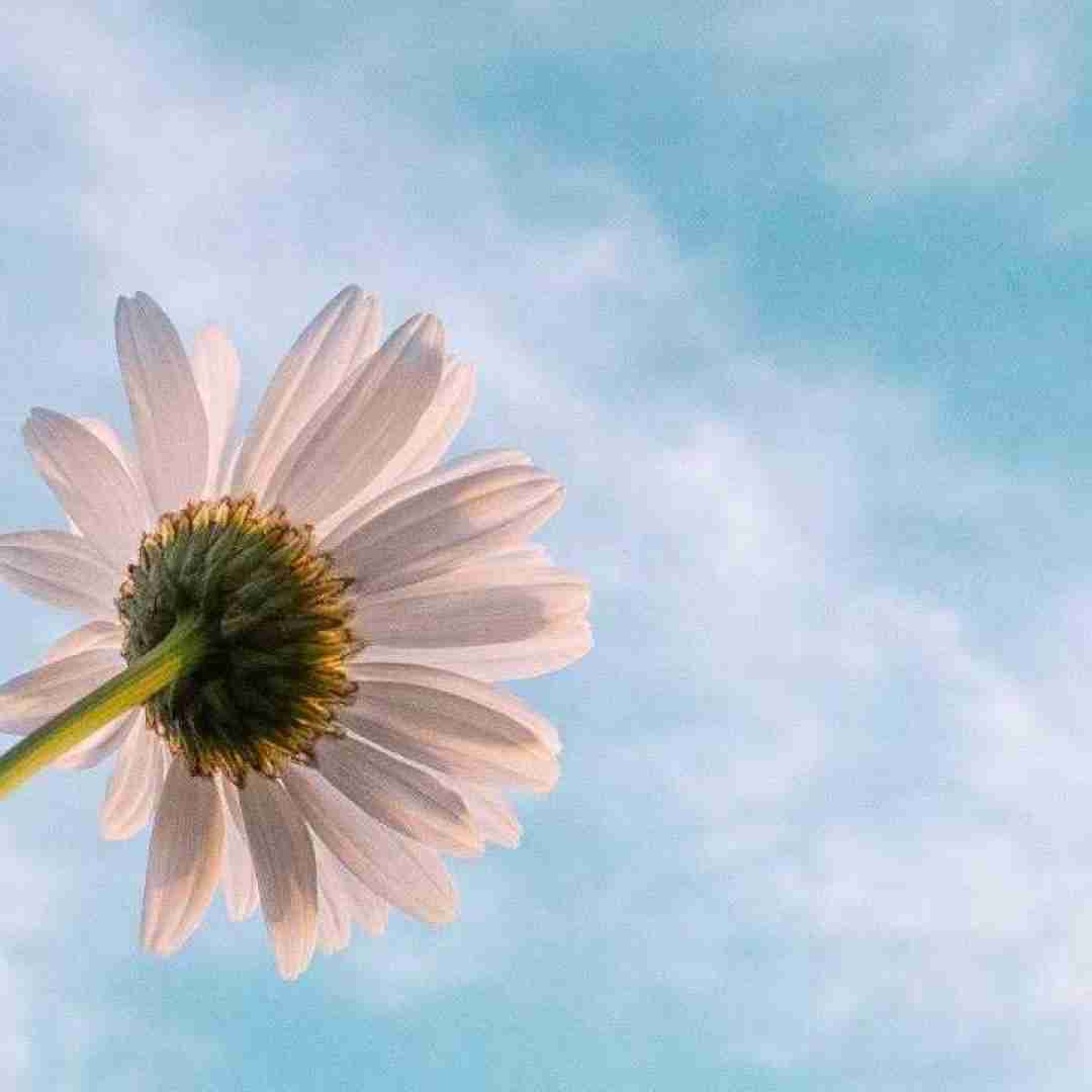 فاطمه عطایی آق ننه (مامان بزرگ)