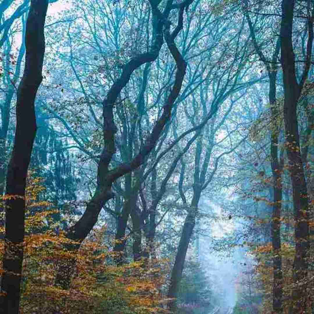 سبزه کشمیر ما زلفای تو زنجیر ما