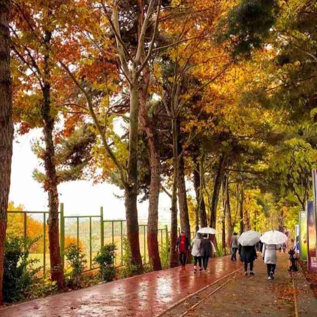  یادم رفت حسامو دادم رفت هرچقدر باشم