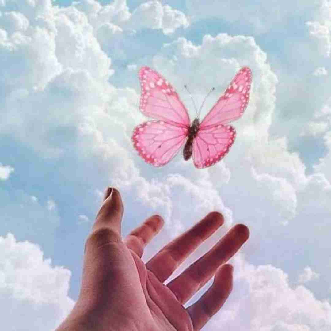 چکاد قد بلند فریبنده پسر یکی از ملاکین کوهستان